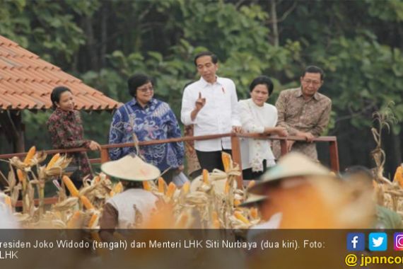 Pak Jokowi Serahkan 13 SK Perhutanan Sosial Seluas 8.975 Ha - JPNN.COM