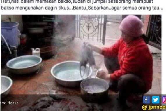 Ibu Ini Cincang Tikus untuk Bahan Bakso? Jangan Percaya! - JPNN.COM