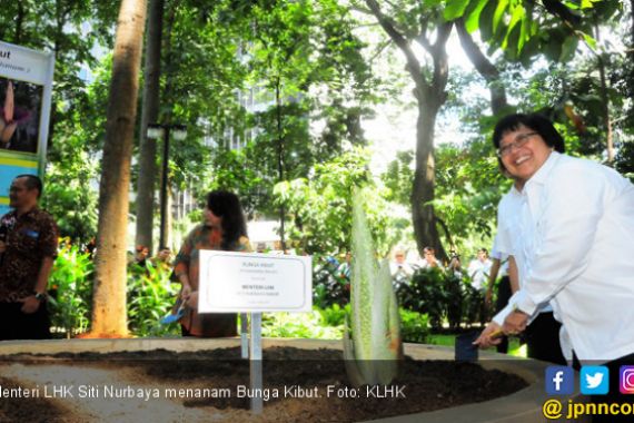 Menteri Siti Lengkapi Koleksi Arboretum Dengan Bunga Kibut - JPNN.COM