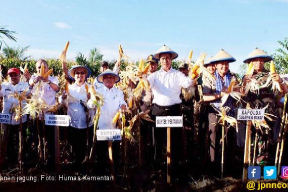 Mentan Amran Dinobatkan jadi Bapak Jagung Nasional - JPNN.COM