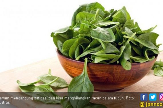 8 Manfaat Bayam untuk Ibu Hamil - JPNN.COM