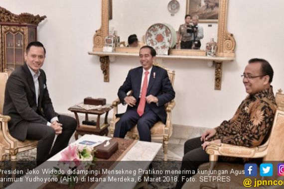 Tim Penjaring Kandidat Cawapres Bentukan Jokowi, Efektifkah? - JPNN.COM