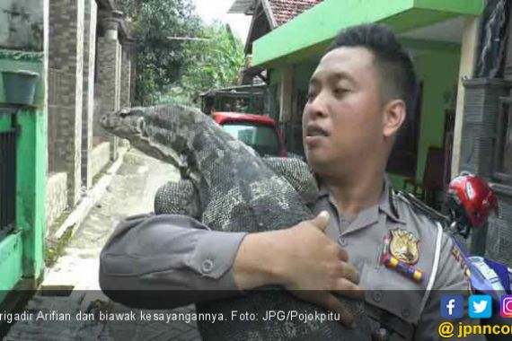 Polisi Ini Senang Bermain dengan Biawak - JPNN.COM