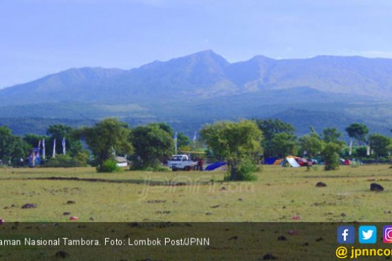 Sejenak Melepas Penat dengan Keindahan Tambora - JPNN.COM