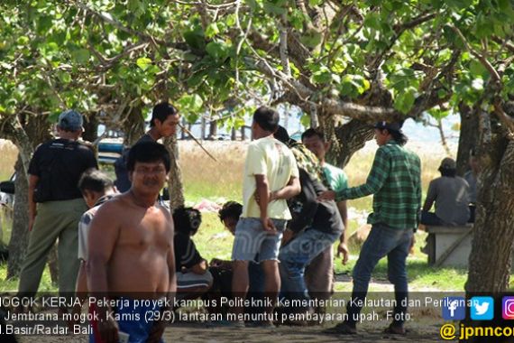 Upah Seret, Pekerja Proyek Kampus KKP Nekat Makan Biawak - JPNN.COM