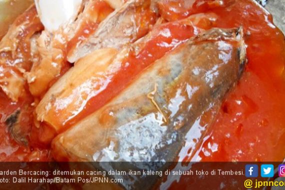 MUI Bakal Cabut Label Halal Ikan Kaleng Bercacing - JPNN.COM