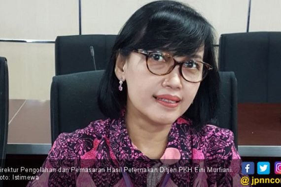 Kementan Jamin Stok dan Harga Daging Sapi Jelang HKBN 2018 - JPNN.COM