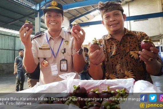 Manggis Bali Menarik Hati Pasar China - JPNN.COM