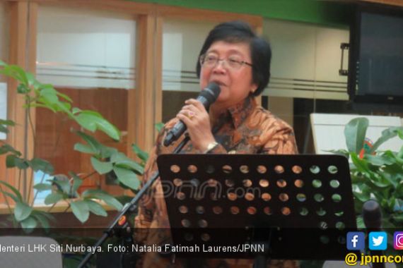 Menteri Siti Ungkap Data Perizinan Hutan Masa Lalu - JPNN.COM