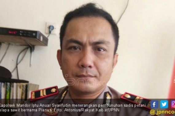 Berita Terbaru Pembunuhan Sadis Petani Kelapa Sawit - JPNN.COM