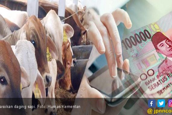 Ini Upaya Kementan Jamin Pasokan Daging Sapi Jelang Ramadan - JPNN.COM