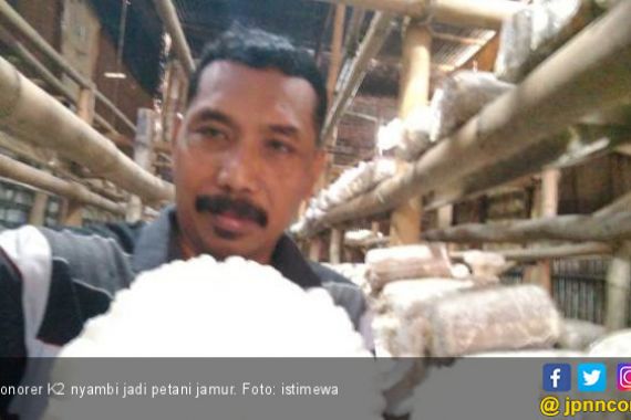 Honorer K2 Nyambi jadi Buruh Bangunan, Ada yang Tanam Jamur - JPNN.COM