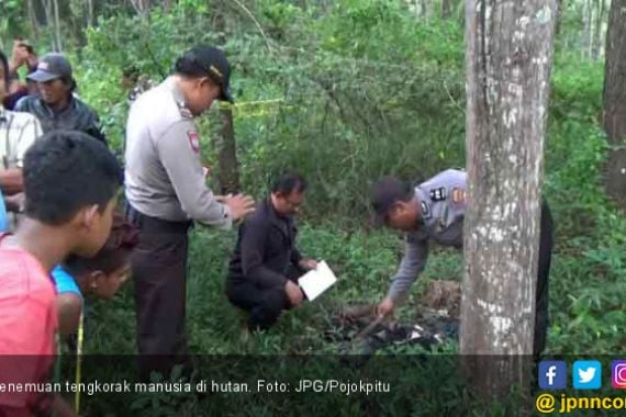 Tengkorak Manusia Ditemukan di Hutan Brombos - JPNN.COM