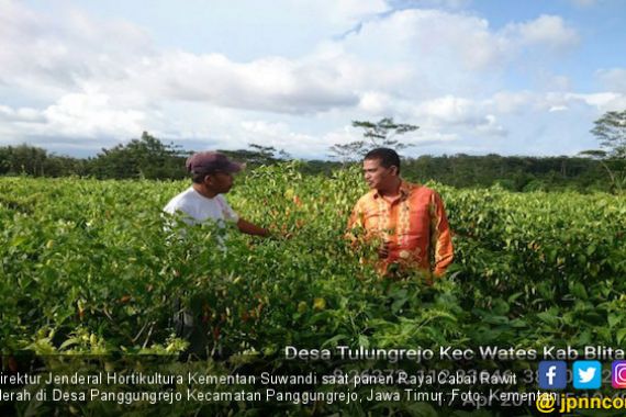 Industri Pengolahan dan Penyimpanan Holtikultura Menggeliat - JPNN.COM