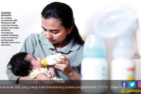Pemberian ASI Dukung Kesembuhan Bayi Kuning - JPNN.COM