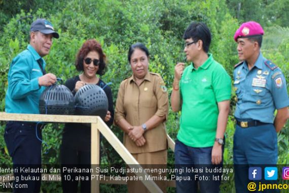 Tingkatkan Kesejahteraan, Suku Kamoro Budayakan Kepiting - JPNN.COM