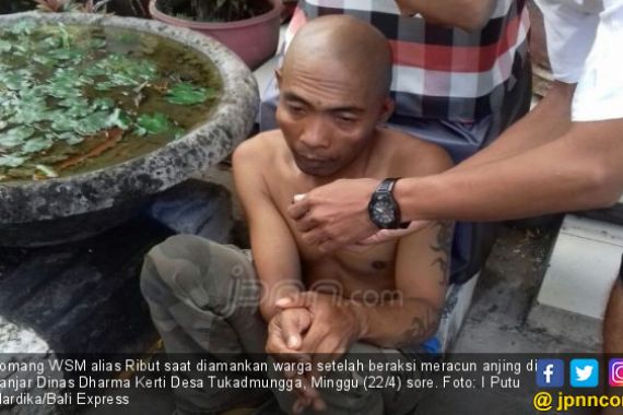 Tampang Begini, Demen Banget Meracuni Anjing untuk Jualan RW - JPNN.COM