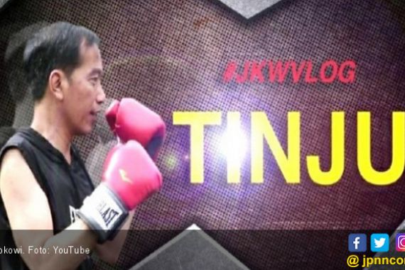 PDIP: Jokowi Sedang Shadow Boxing - JPNN.COM