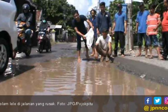 Warga Buat Kolam Lele di Tengah Jalan - JPNN.COM