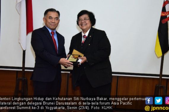 Menteri Siti Gelar Pertemuan dengan Delegasi Empat Negara - JPNN.COM