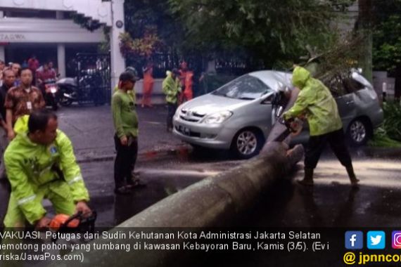 Hujan Lebat, Pohon Palem Timpa Mobil di Kawasan Elite - JPNN.COM