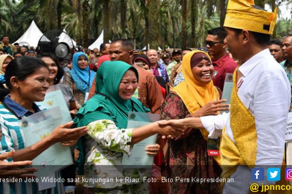 Jokowi Minta Peremajaan Sawit di Riau Segera Diselesaikan - JPNN.COM