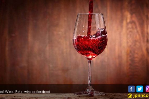 6 Khasiat Minum Wine, Bikin Penyakit Ini Kabur - JPNN.COM