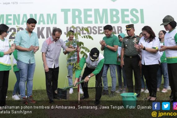 DTFL Tuntaskan Tanam Trembesi di Jalur Joglo Semar - JPNN.COM