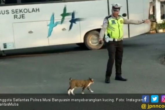 Aksi Polisi Musi Banyuasin Seberangkan Kucing Mendunia - JPNN.COM