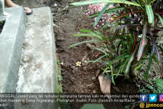 Kaki Mayat Perempuan Sintal Menyembul di Kuburan - JPNN.COM