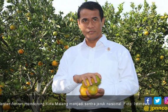 Kementan Dorong Kota Malang Jadi Sentra Jeruk Nasional - JPNN.COM