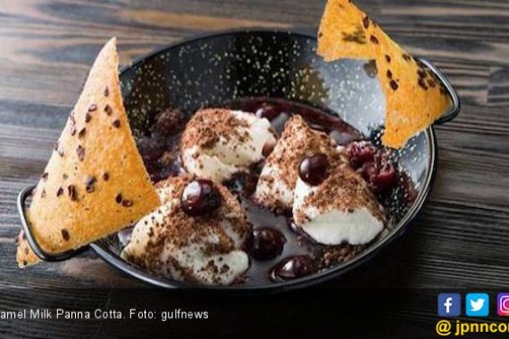 Cara Membuat Camel Milk Panna Cotta untuk Menu Berbuka - JPNN.COM