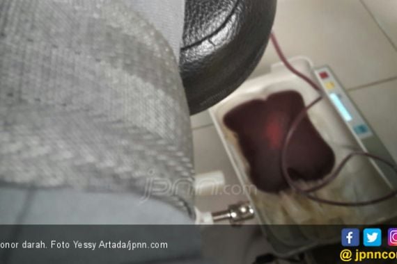 Benarkah Donor Darah Bisa Bikin Gemuk? - JPNN.COM
