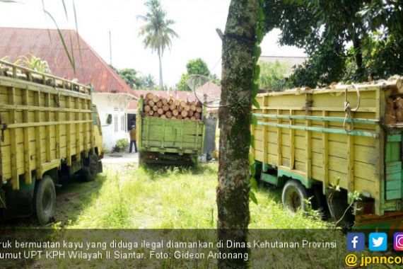 Empat Truk Pengangkut Kayu Ilegal Diamankan Intel Kodim - JPNN.COM