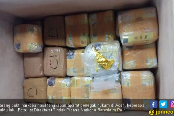 Jumlah Pelaku Kejahatan Narkoba Menurun - JPNN.COM