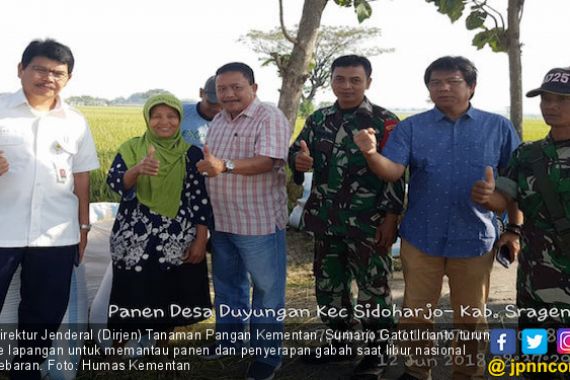 Libur Lebaran, Kementan Pantau Panen dan Sergap di Jatim - JPNN.COM