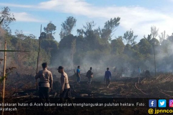 Sepekan, Puluhan Hektar Hutan Terbakar di Aceh - JPNN.COM