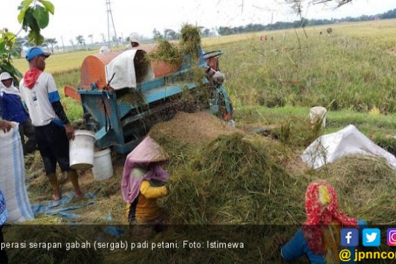 Menko Darmin Akui Data Produksi Gabah Pemerintah Tak Sinkron - JPNN.COM