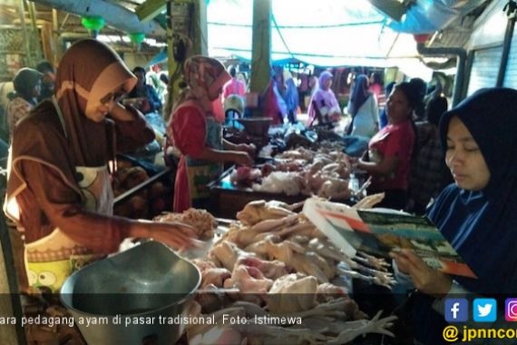 Usai Lebaran, Harga Daging Ayam Naik Drastis - JPNN.COM