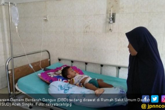 Korban Terserang DBD di Aceh Singkil Terus Bertambah - JPNN.COM