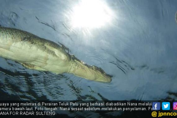 Nyaris Tertangkap, Buaya di Kali Grogol Diduga Stres - JPNN.COM