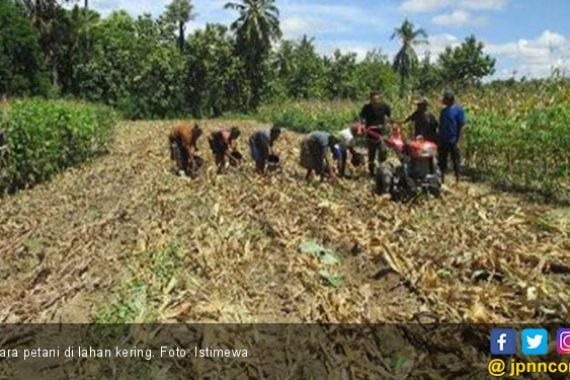 FAO Dorong Peningkatan Ilmu dan Mekanisasi Pertanian - JPNN.COM