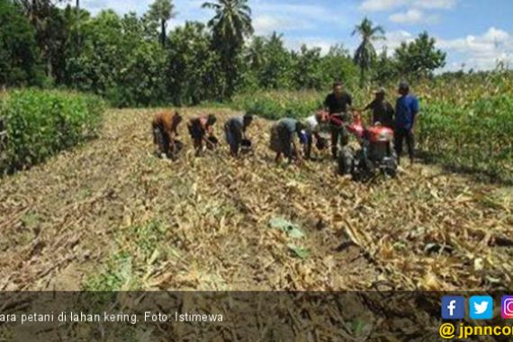 Lahan Kering Iklim Kering Harapan Pertanian Masa Depan - JPNN.COM