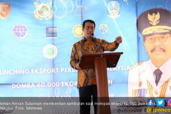 Indonesia Ekspor Perdana 60.000 ekor domba Ke Malaysia - JPNN.COM