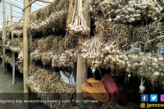 Minahasa Selatan Dukung Swasembada Bawang Putih 2021 - JPNN.COM
