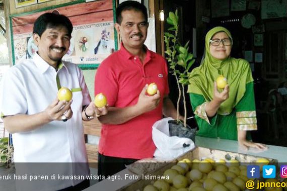 Pemerintah Dorong Wisata Agro dan Edukasi Holtikultura - JPNN.COM