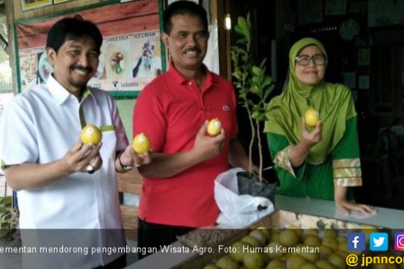 Kementan Dorong Pengembangan Wisata Agro - JPNN.COM