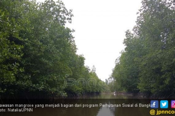 Revitalisasi Hutan Kota Kemayoran Diprediksi Rampung 2019 - JPNN.COM