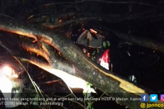 Angin Kencang di Medan, Pohon Tumbang Timpa Sejumlah Mobil - JPNN.COM