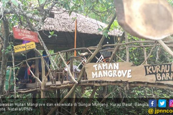 Susuri Hutan Mangrove Munjang, Berdamai dengan Alam - JPNN.COM